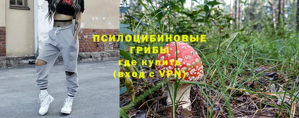 СК Приозерск