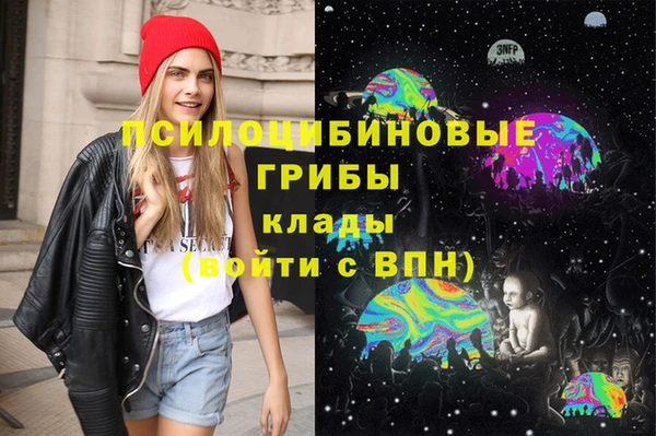 СК Приозерск