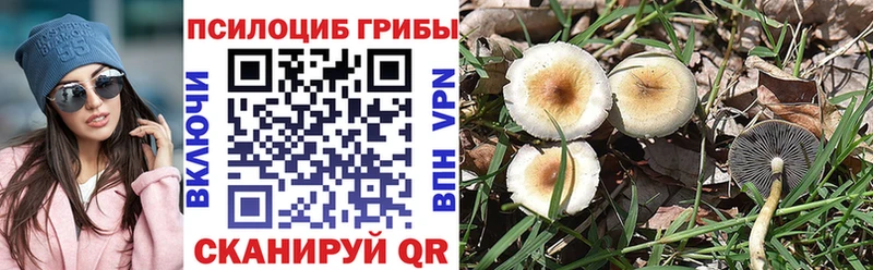 OMG ссылки  Дмитровск  Галлюциногенные грибы мухоморы 